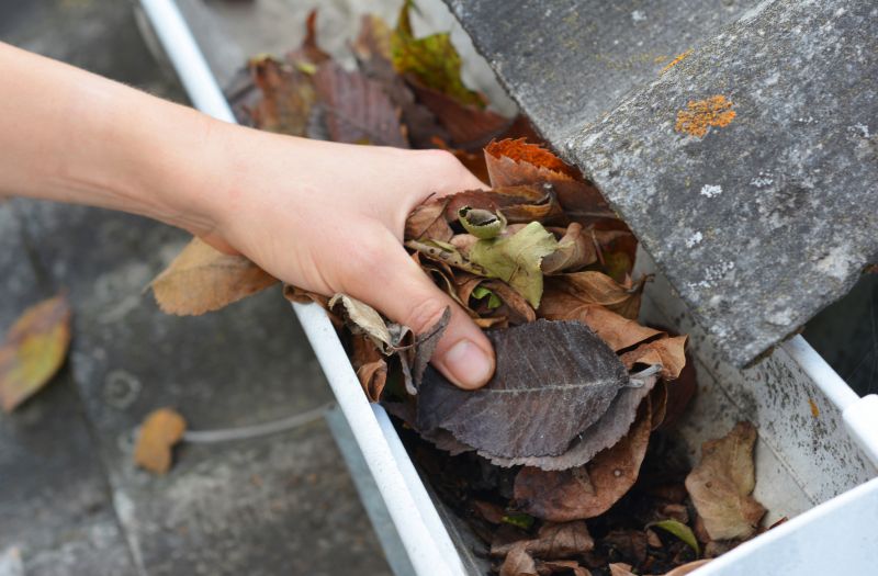 Commercial Downspout Cleaning in Denver County, CO