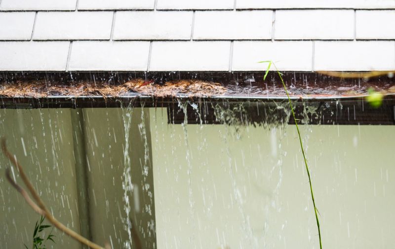 Downspout Blockage Removal in Fredericksburg, VA