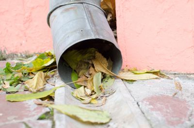 Remove leaves and dirt