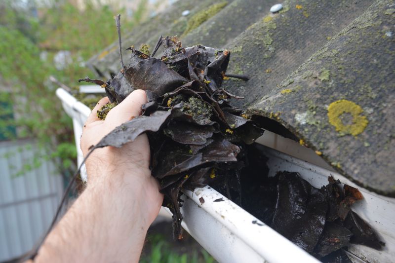 Clogged Gutter Clearing in Long Island, NY