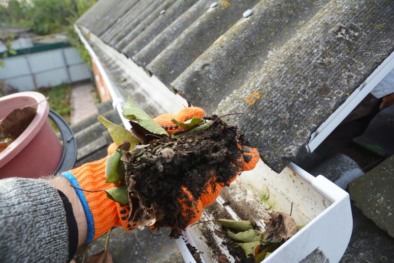 Clogged Gutter Clearing in Richmond, VA