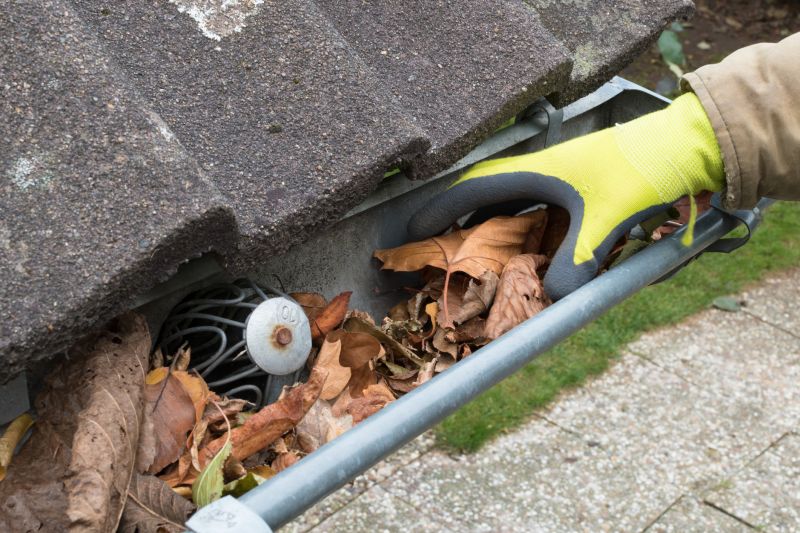 Commercial Gutter Maintenance in Mcdonough, GA