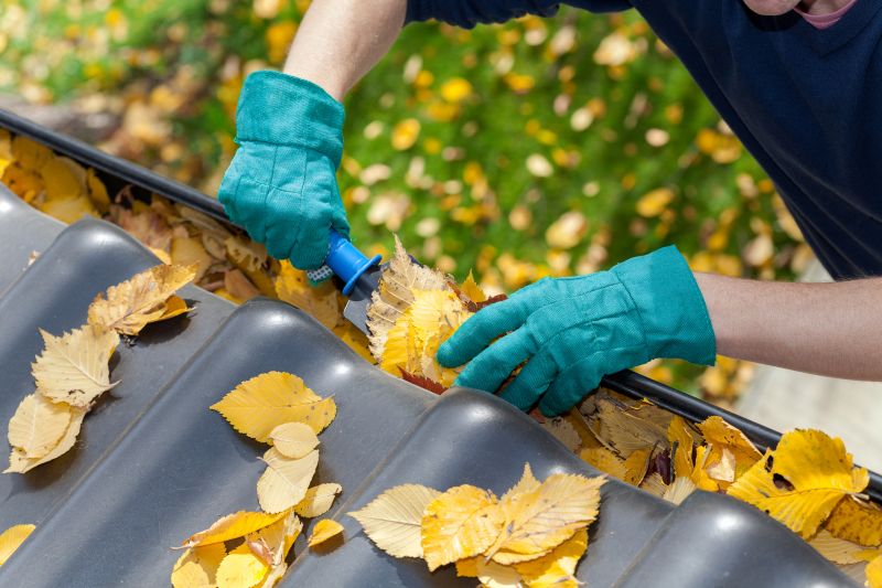 Commercial Gutter Unclogging in Littleton, CO