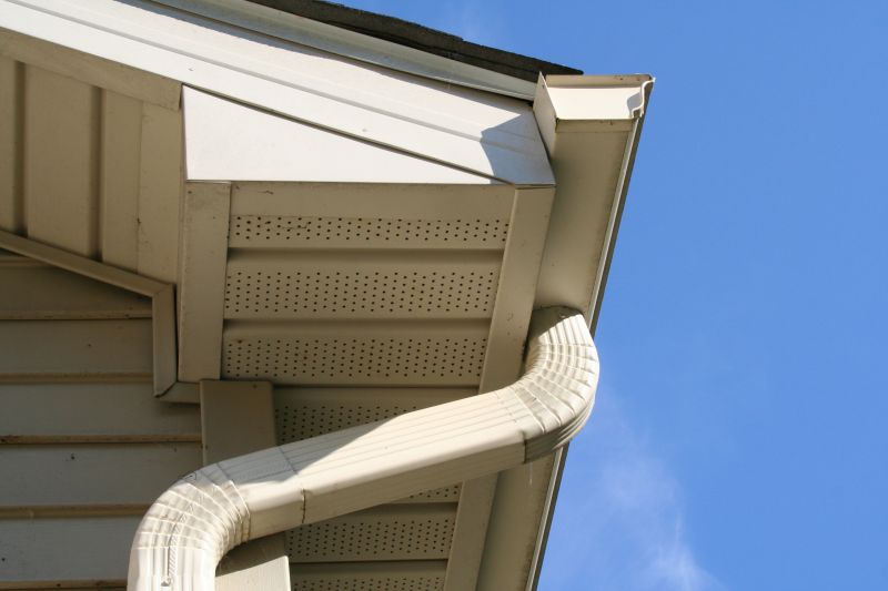 Downspout Blockage Removal in Richmond, VA
