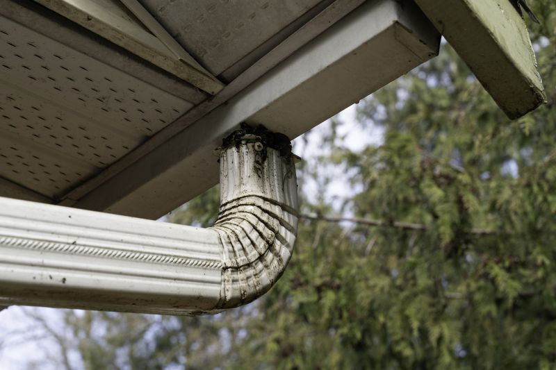 Clogged Downspouts