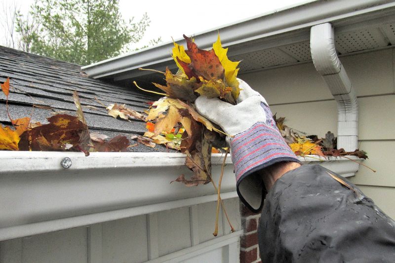 Cleaning a Residential Gutter
