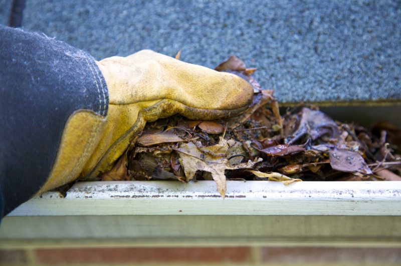 Gutter Cleaning in Annapolis, MD