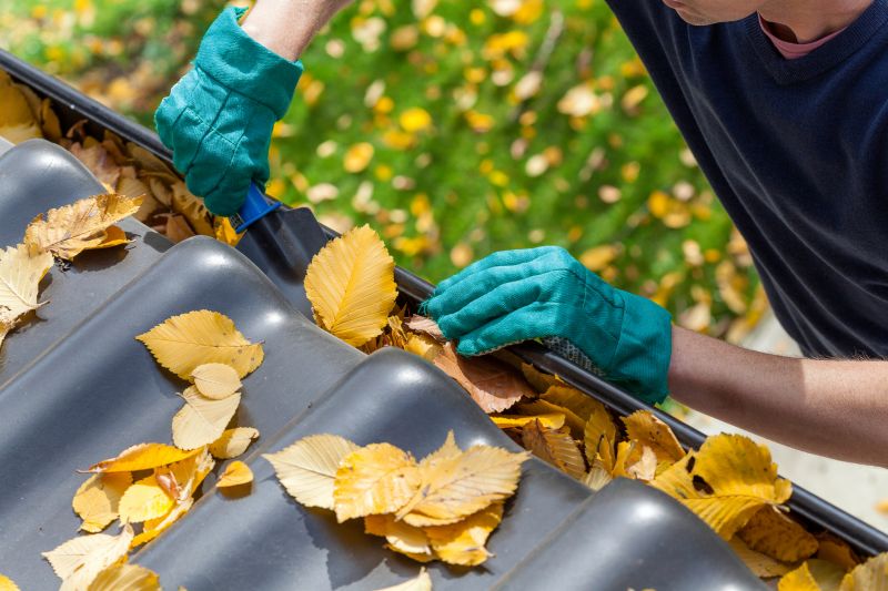 Gutter Leaf Clearing in Richmond, VA