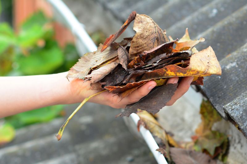 Gutter Leaf Clearing in Longmont, CO