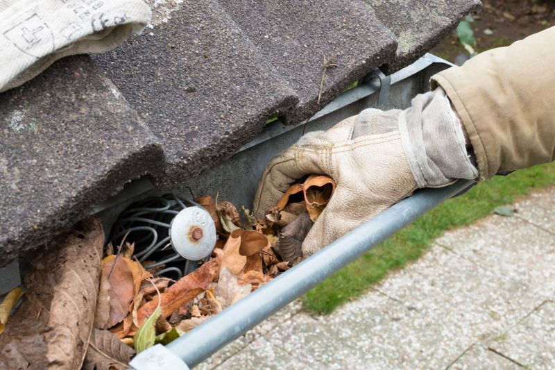 Gutter Leaf Clearing in Long Island, NY