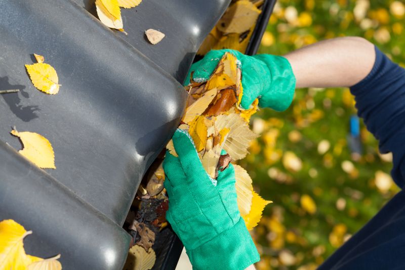 Gutter Leaves Removal in Long Island, NY