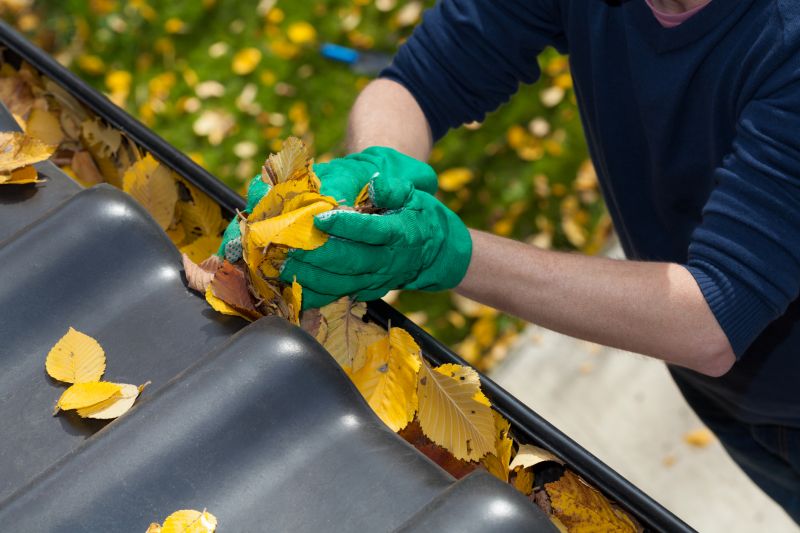 Gutter Leaves Removal in Monmouth County, NJ