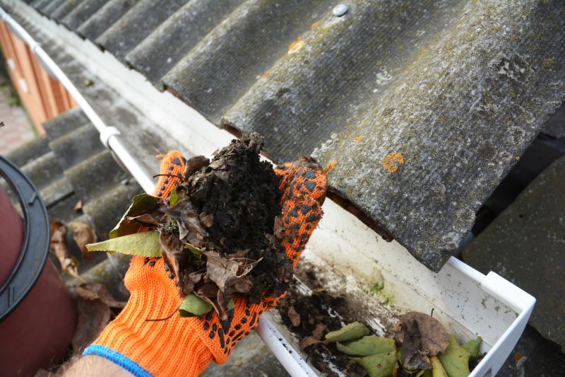 Gutter Leaves Removal in Morris County, NJ