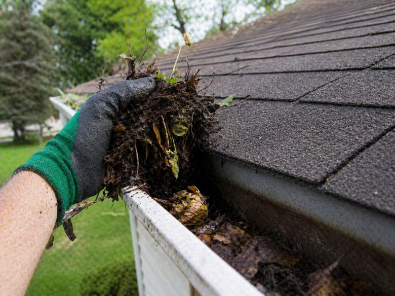 Gutter Maintenance in Rochester, NY