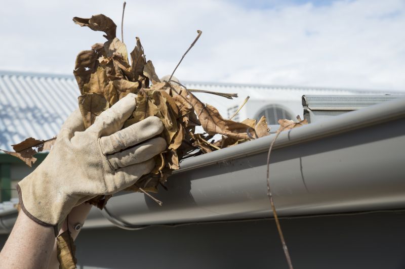 Gutter Pine Needle Removal in Westchester County, NY