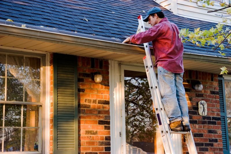 Roof Gutter Cleaning in Richmond, VA